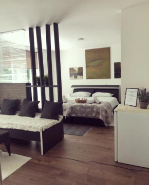 Apartment in the old city